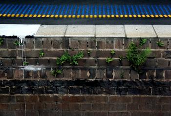 �����ֽ�������Ǻ���Ƶ��������ǿ��������Ļ����� �������Ⱥ��...